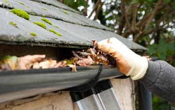 gutter cleaning Darley